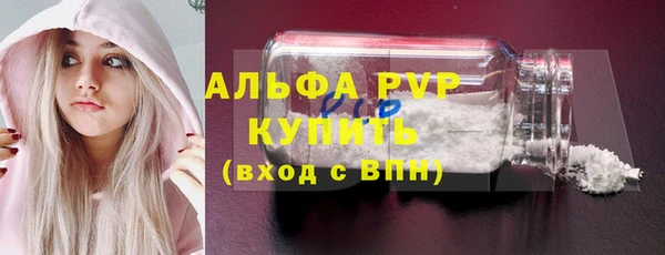 стаф Корсаков