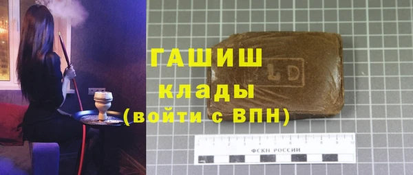 стаф Корсаков