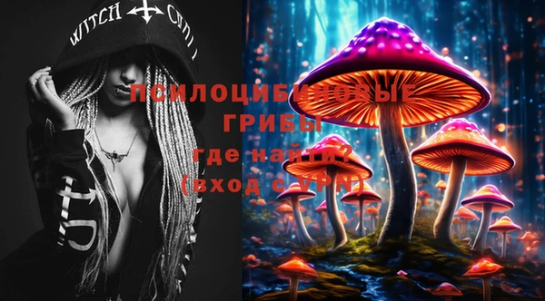 стафф Коряжма