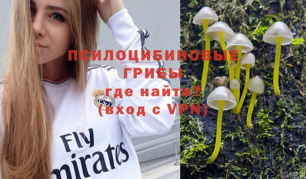 твердый Костерёво