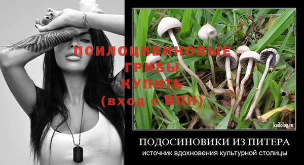 ALPHA PVP Краснослободск